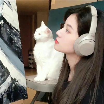 冲吧!我的庞克青春